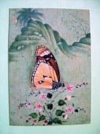 Postcard On Butterfly From France - Painting "Epoque Moghole" - Insects