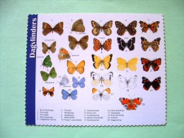 Postcard On Butterflies From Holland - Insects