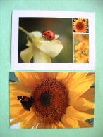 Two Postcards On Insects And Butterflies From Holland - Insects