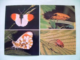 Two Postcards On Insects And Butterflies From Italy - Insects
