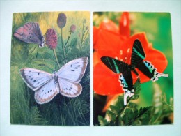 Two Postcards On Butterflies From Germany - Insects