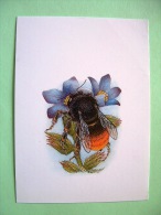 Postcard On Bumble Bee Insects From Latvia - Used For Maxicard Also - Insects