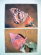 Two Postcards On Butterflies From China - Insects