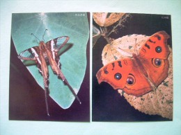 Two Postcards On Butterflies From China - Insects