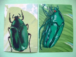 Two Postcards On Beetle Insects From Indonesia - Insects