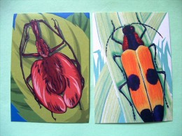 Two Postcards On Beetle Insects From Indonesia - Insects