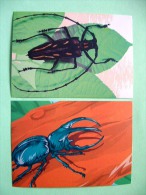 Two Postcards On Beetle Insects From Indonesia - Insects