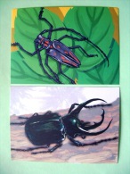 Two Postcards On Beetle Insects From Indonesia - Insects