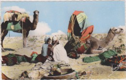 AFRIQUE,AFRICA,ALGERIE FRANCAISE,KABYLIE,AGOUNI GUEGHRANE,AGHNI GOUGHRANE,TIZI OUZOU,CAMPEMENT,NOMADES - Tizi Ouzou