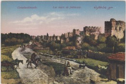 TURQUIE,TURKEY,TURKISH,TU RKIYE,EMPIRE OTTOMAN,CONSTANTINOPLE EN 1900,ISTANBUL,murs Jédikoulé,paysan,éleveur De Chevaux, - Turquie