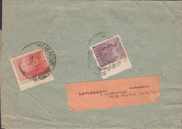 Argentina Wrapper Bande De Journal 1911-12? Sent To COPENHAGEN Dinamarca Denmark Landarbeiter Vor Sonne Stamps - Covers & Documents