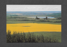 POSTES CANADIENNES - PRE-STAMPED 8 CENT - CARTE POSTALE TIMBRÉE - LES PRAIRIES À PRONGUA ( SASK. ) - Autres & Non Classés