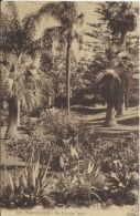 MONTE-CARLO - Un Coin Des Jardins - Jardin Exotique