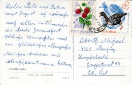 Rumänien - 2 Sondermarken Auf Ak (Kleinformat) SIGHISOARA - Lettres & Documents