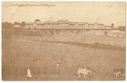 S920 -Sanatorium Provincial De Magnée - Fléron