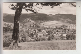 0-6406 STEINACH, Panorama, 1961 - Sonneberg