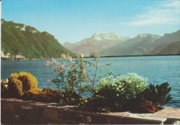 SUISSE,HELVETIA,SWISS,SWI TZERLAND,SCHWEIZ,VAUD,VEV EY MONTREUX,lac Léman,glion,caux,FLEURS,1 961 - Montreux