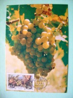 South Africa 1987 FDC Cover Maxicard - Grapes Fruit - Briefe U. Dokumente