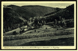 Bermsgrün Antonsthal / Erzgeb. -  Schwarzwassertal An Der Hansenmühle  -  Ansichtskarte Ca.1940   (3592) - Schwarzenberg (Erzgeb.)