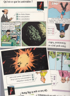 Lot  D'une Quarantaine  De Fiches  Tintin Univers  15x15cm - Affiches & Posters