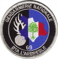 Gendarmerie- BTA L'ARBRESLE Type II - Polizia