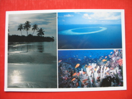 From Dawn To Dusk,these Waters Are As Inviting - Maldive