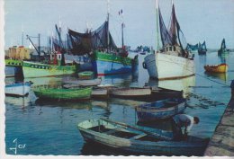 Lesconil Bateaux De Pêche - Lesconil