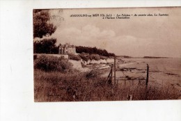 ANGOULINS SUR MER - Les Falaise - Ay ^premier Plan La Sapinière, à L'horizon Chatelaillon - Angoulins