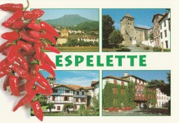 ESPELETTE PAYS BASQUE CAPITALE DU PIMENT VUES MULTIPLES - Espelette