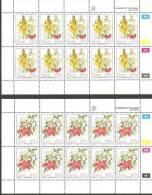 Namibia 1994 Mi# 772-775 ** MNH - Sheets Of 10 - Flowers Of The Namib - Namibia (1990- ...)