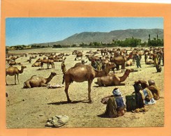 Afghanistan Old Postcard - Afghanistan