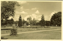 CP De ELISABETHVILLE ( Lubumbashi ) " Un Coin Du Parc ". - Lubumbashi