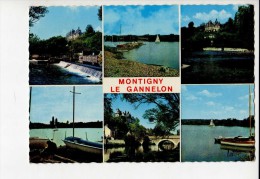 MONTIGNY LE GANNELON - Multivues - Montigny-le-Gannelon