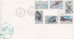 French Antarctic Territory 1977 Fauna FDC - FDC