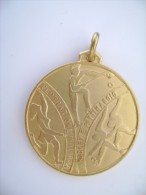 CAMPIONATO  REGIONALE 1975    FEDERAZIONE ITALIANA  HOCKEY  E PATTINAGGIO  PATINAGE SKATING MEDAGLIA SPORT ITALIA  MEDAL - Skating (Figure)