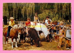 CPM CLOYES SUR LE LOIR , Parc De Loisirs , Les Poneys - Cloyes-sur-le-Loir