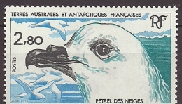 French Southern And Antarctic Territory 1985 Birds Oiseaux  Aves Petrel MNH - Marine Web-footed Birds