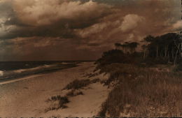 Ostseebad Graal-Müritz. Strand - Graal-Müritz