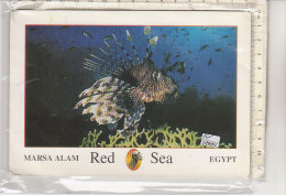 PO6808C# EGITTO - EGYPT - MARSA ALAM - RED SEA - PESCI TROPICALI   VG 2004 - Mersa Matrouh