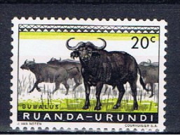 Ruanda Urundi+ 1959 Mi 162 Mnh Kaffernbüffel - Unused Stamps