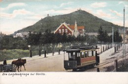 Görlitz, Die Landeskrone Beu Görlitz, Mit Strassenbahn, Avec Tramway, Met Tram, - Goerlitz