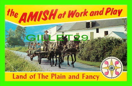 LANCASTER, PA - THE AMISH AT WORK AND PLAY - LAND OF THE PLAIN AND FANCY - - Lancaster