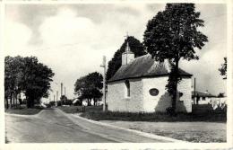 BELGIQUE - HAINAUT -  BEAUMONT - SOLRE-SAINT-GERY - La Chapelle Ste-Anne. - Beaumont