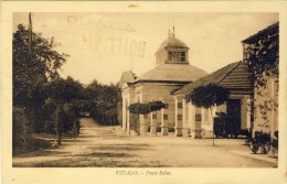 VIDAGO,  Fonte Salus - 2 Scans  PORTUGAL - Vila Real