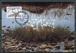 1989 Greenland Alpine Plants Flowers Maximum Cards (2) - Cartes-Maximum (CM)