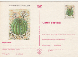 CACTUSSES, PC STATIONERY, ENTIER POSTAL, 6X, 1997, ROMANIA - Cactus