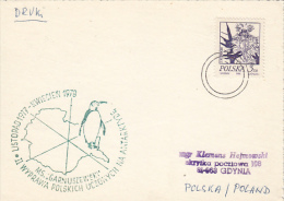 POLISH ANTARCTIC EXPEDITION, PENGUIN, SPECIAL POSTCARD, 1979, POLAND - Antarctic Expeditions