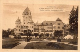 CHATEAU GRAND-DUCAL DE COLMAR-BERG - Colmar – Berg