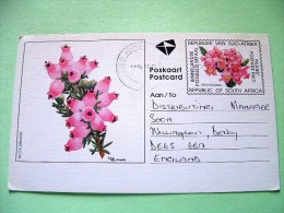 South Africa 1984 Pre Paid Postcard To England - Flowers Erica - Brieven En Documenten