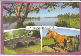 LA FRANCHE-COMTE - Franche-Comté